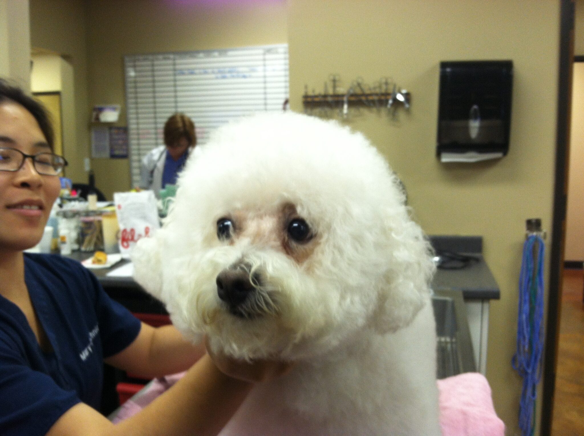Southern Styles Dog Grooming LLC